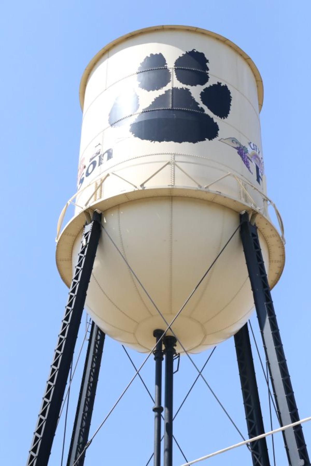 Water Tower with Huskey Paw